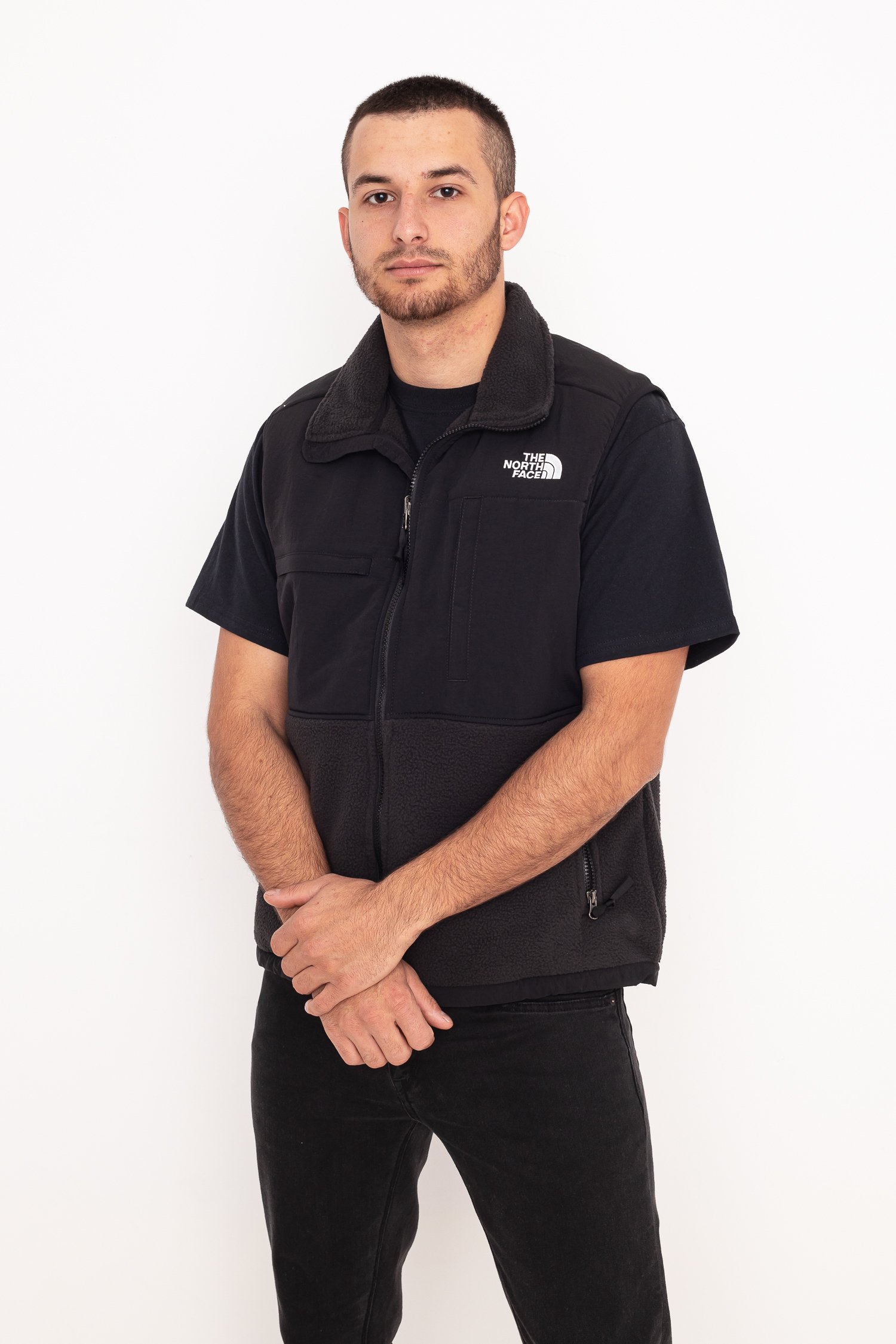the north face denali vest